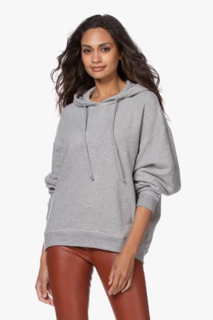 American Vintage Lys Gråmelert 'Nea' hoodie